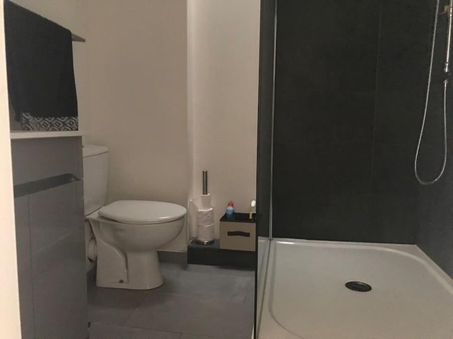 Appartement Avec Terrasse Centre De La Bastide 카르카손 외부 사진